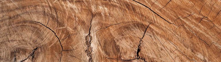 Kiln dried live edge timber locally sourced by Elephant Timber Supplies.