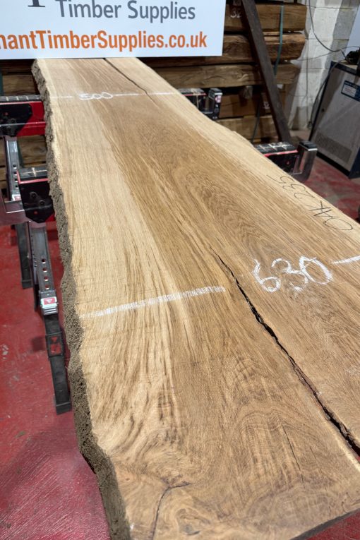 Alternative view of Oak #235