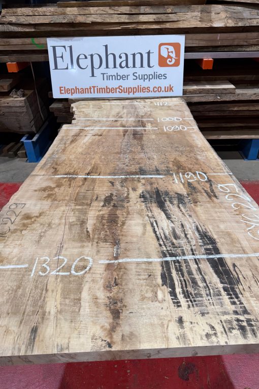 Rippled sycamore 229