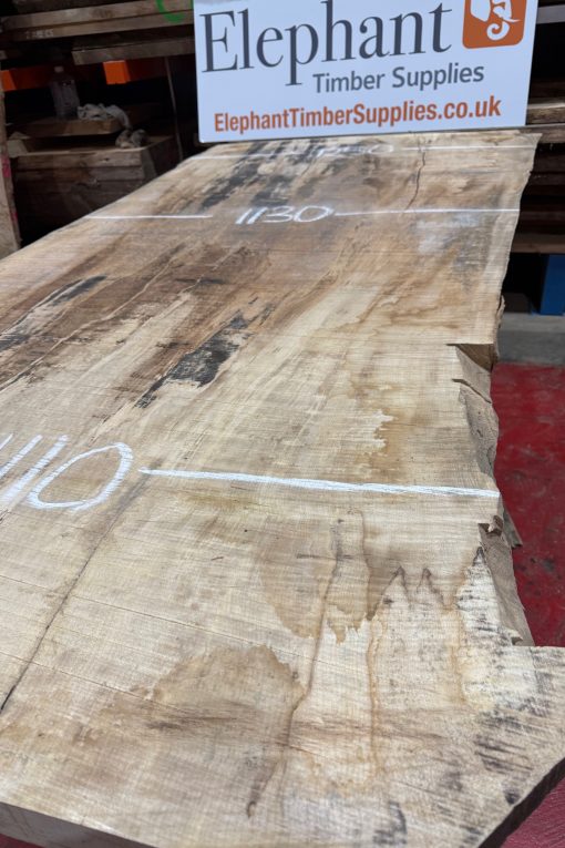 Rippled Sycamore 230